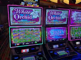 f670l Hamari Live Dealer Offering Kya Hai